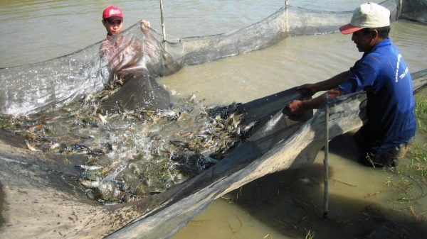 Kế hoạch phòng, chống dịch bệnh nguy hiểm trên thủy sản nuôi đến 2030