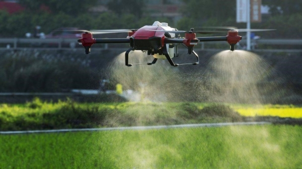 Nông dân hào hứng xem drone P-GLOBALCHECK phun thuốc bảo vệ thực vật