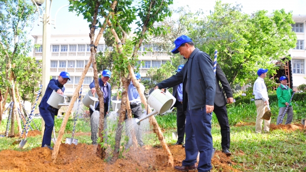 Lâm Đồng trồng 50 triệu cây xanh