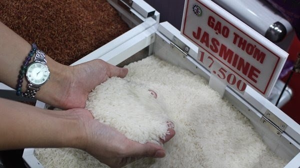 Lúa gạo đang giữ cho khủng hoảng lương thực không tệ hơn!