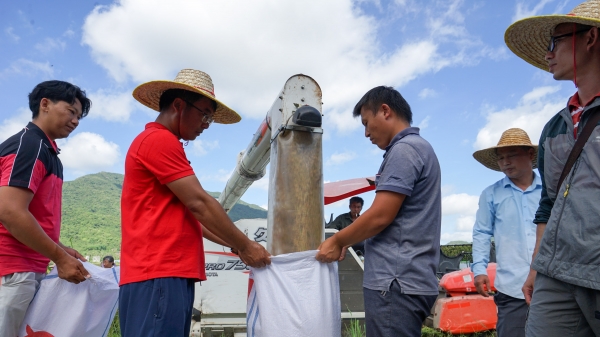 Năng suất lúa lai cao kỷ lục ở đảo Hải Nam