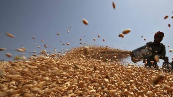 USDA dự báo xuất khẩu nông sản 2021 đạt kỷ lục