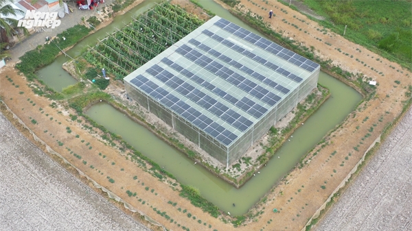 Làm nông nghiệp kết hợp sản xuất điện mặt trời