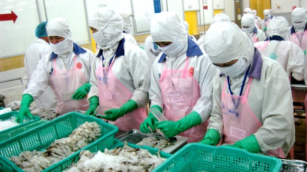 Nắm thông tin cảng Trạm Giang (Trung Quốc) tạm dừng nhập khẩu thực phẩm đông lạnh