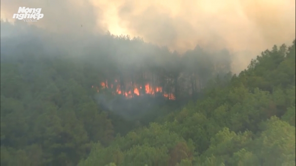 Cháy rừng được khống chế nhưng vẫn còn diễn biến phức tạp