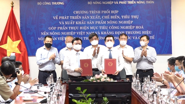 Liên bộ 'bắt tay' khẳng định vị thế nông sản Việt