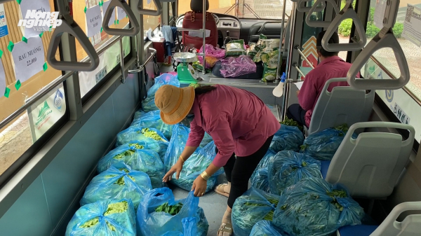 Xe buýt chuyển đổi thành cửa hàng cung cấp rau di động