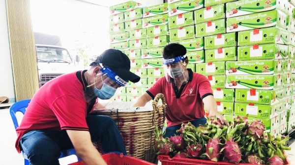Cẩn trọng nguy cơ trái cây xuất sang Trung Quốc bị 'tuýt còi'