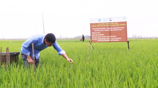 Trao giải chung kết dự án giảm phát thải khí nhà kính trong sản xuất lúa