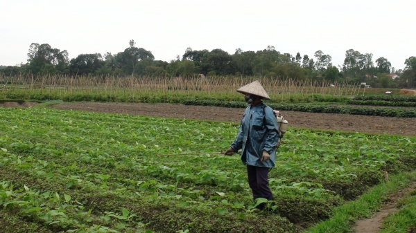 Ứng dụng công nghệ Nhật Bản vào nông nghiệp hữu cơ