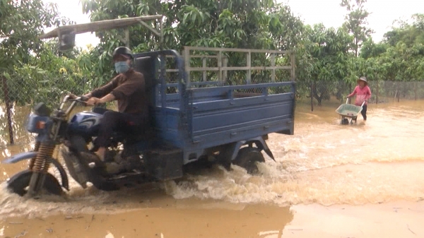 Cảnh báo rủi ro thiên tai cấp độ 1 khu vực thấp ven sông Đồng Nai