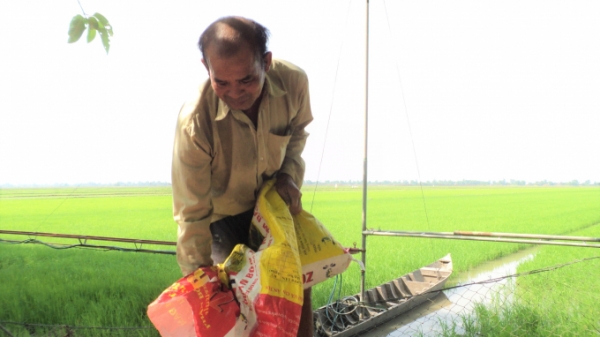Hạn chế nạn 'xài hoang' vật tư trong sản xuất lúa ở ĐBSCL