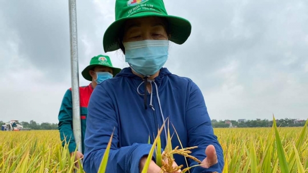 Khát vọng nông nghiệp hữu cơ của Thừa Thiên - Huế
