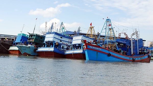 Vào mùa biển mới: [Bài 3] Mở cảng cá và kiểm soát dịch linh hoạt