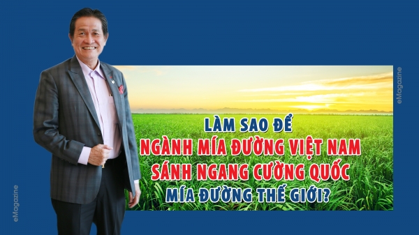Làm sao để ngành mía đường Việt Nam sánh ngang cường quốc mía đường thế giới?
