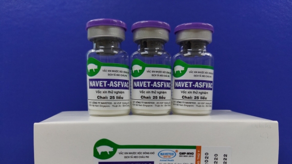 Nghiên cứu sản xuất vắc xin dịch tả heo Châu Phi tại NAVETCO