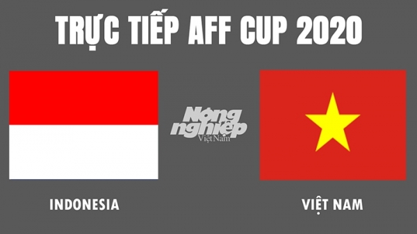 Trực tiếp bóng đá Việt Nam vs Indonesia tại AFF Cup 2020 hôm nay 15/12