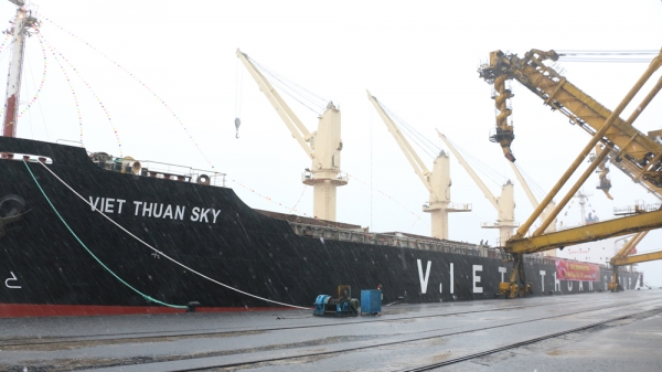 Bốc rót hơn 26.000 tấn than ‘xông’ cảng mùng 1 Tết