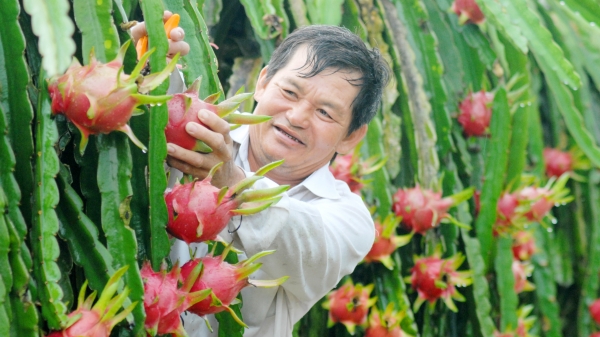 Tiền Giang xem nông nghiệp là bệ đỡ để phát triển kinh tế
