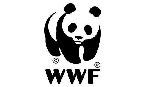 WWF thông tin báo chí và  công bố báo cáo về môi trường