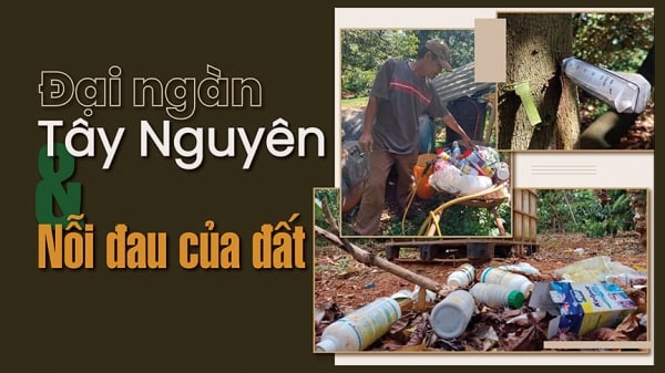 [Bài 1] Những khu vườn ngập ngụa hóa chất ở Đắk Lắk