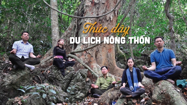 Tắm rừng ở Na Hang để chữa vết thương tinh thần