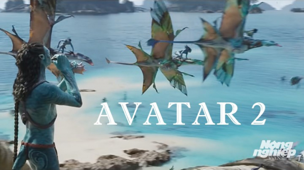 Avatar 2 tung trailer khiến khán giả mê mẩn