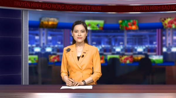 Áp dụng công nghệ cao để phát triển bền vững ngành tôm Việt Nam