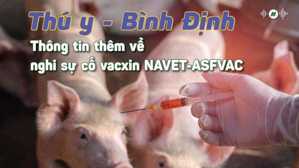 Thông tin thêm về nghi sự cố vacxin NAVET-ASFVAC