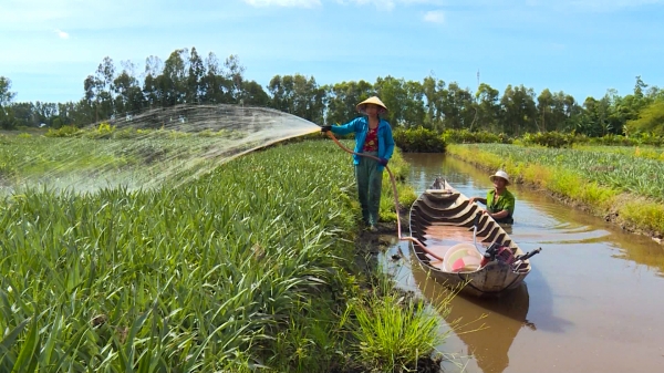 Đồng bào Khmer chuyển đổi mô hình nông nghiệp xây dựng nông thôn mới