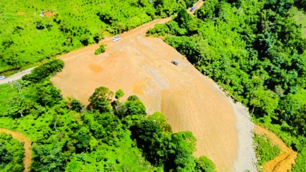 Phá hơn 3.500 m2 rừng bị phạt hàng trăm triệu đồng