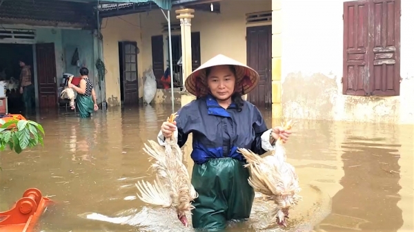 Lũ rút chậm, người dân Quỳnh Lưu bộn bề với nỗi lo thiếu nước sạch
