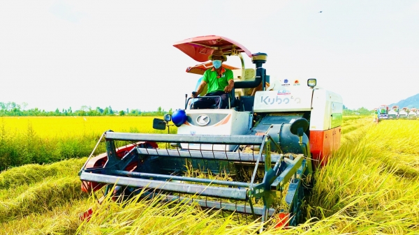 9 tháng đầu năm ngành nông nghiệp TP Cần Thơ tăng trưởng 3,29%
