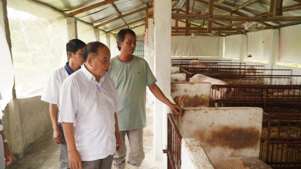 Khóa học nuôi lợn hữu cơ của Chủ tịch Tập đoàn Quế Lâm