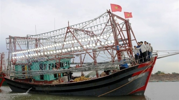 Tàu cá dùng đèn LED, ngư dân Quảng Bình vươn khơi trúng lớn