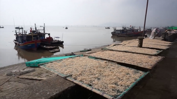 Hàng tấn rác thải các loại xâm lấn bờ biển Ngư Lộc