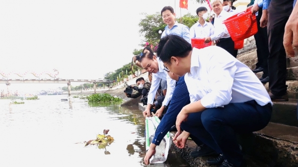 Thả hơn 3,5 tấn cá trên sông Sở Thượng ở thành phố Hồng Ngự