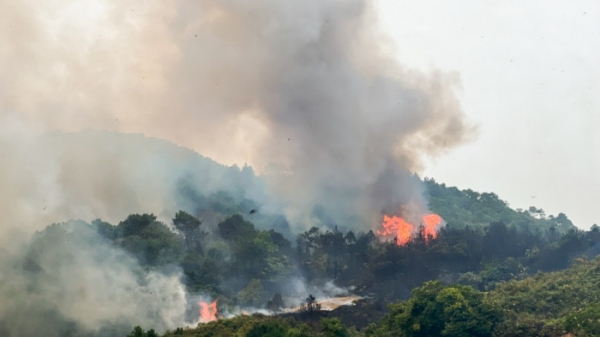 Cháy rừng keo, thông trên xã đảo vùng biên