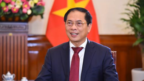 Bộ trưởng Bộ Ngoại giao Bùi Thanh Sơn bị 'phê bình nghiêm khắc'