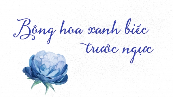 Nhà văn Hồ Anh Thái: Bông hoa xanh biếc trước ngực