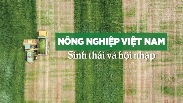 Nông nghiệp Việt Nam: Sinh thái và Hội nhập