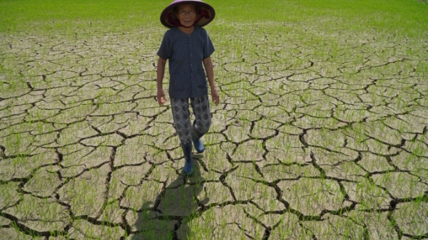 Việt Nam nằm trong nhóm các quốc gia dễ bị tổn thương nhất bởi biến đổi khí hậu