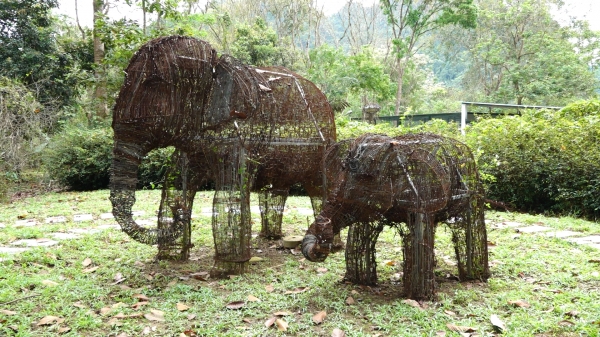 Cận cảnh mô hình voi mẹ và voi con làm từ 14.000 dây, bẫy thú
