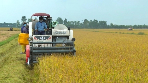 Sóc Trăng đề nghị nông dân duy trì ghi chép nhật ký sản xuất lúa