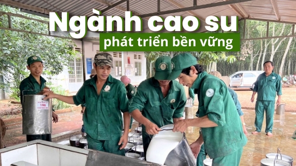 Nâng cao năng lực cạnh tranh bằng chứng nhận doanh nghiệp bền vững