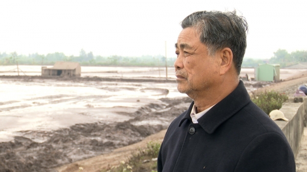 Lãnh đạo Nam Định nên 'đối thoại' với người dân ở đầm bãi Cồn Xanh