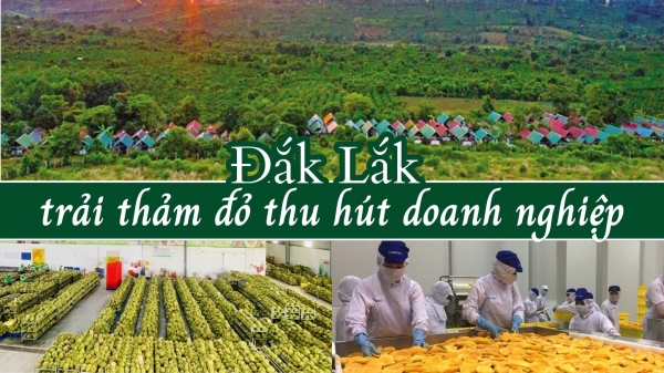 Đắk Lắk trải thảm đỏ thu hút doanh nghiệp đầu tư vào nông nghiệp
