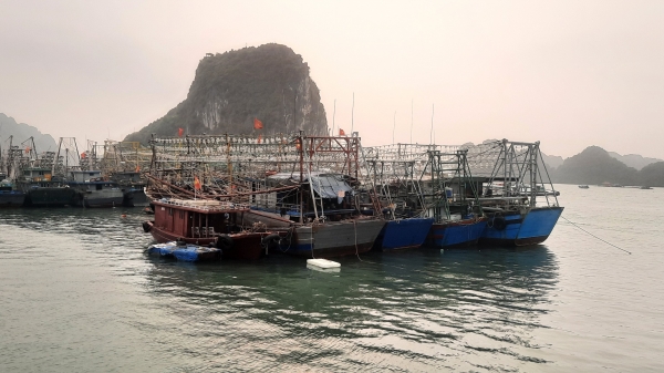 Thủy sản Quảng Ninh thiếu nhân lực chất lượng cao