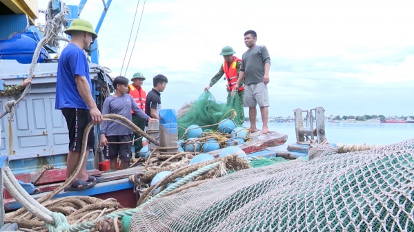 Bắt tàu giã cào đôi khai thác hải sản sai vùng