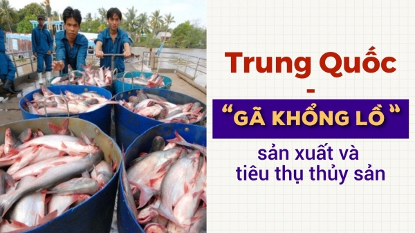[Bài 2]: Dư địa cho thủy sản tươi sống của Việt Nam